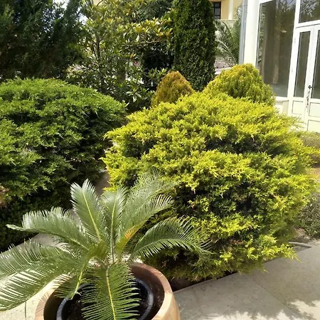 Apartament Villa Gregovica 2 Apartmani & Suit *